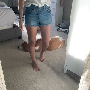 501 Levi’s women’s shorts